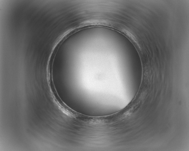 X0000073391082200608111227