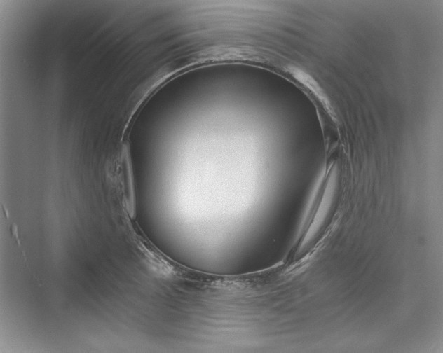 X0000073391089200608111226