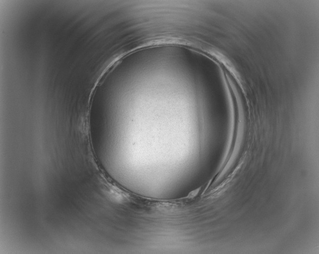X0000073391097200608111226