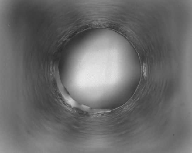 X0000073391107200608111225