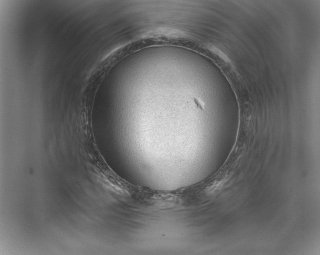 X0000073391112200608111225