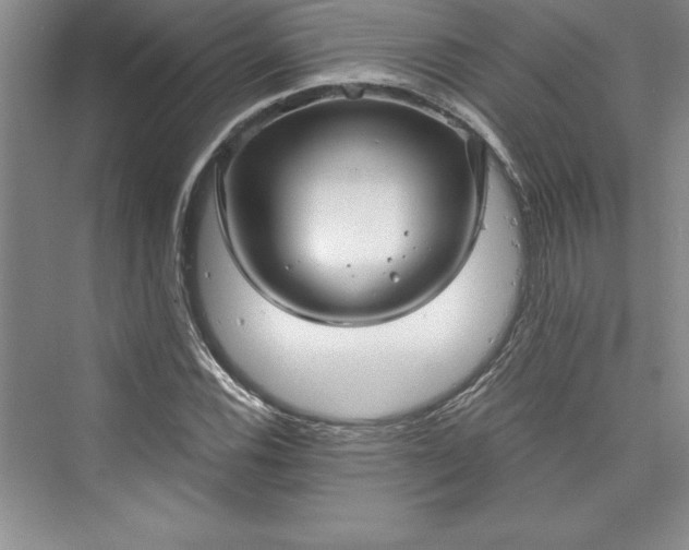 X0000073391116200608111226