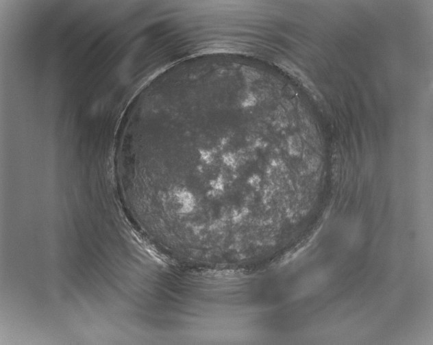 X0000073391121200608111226
