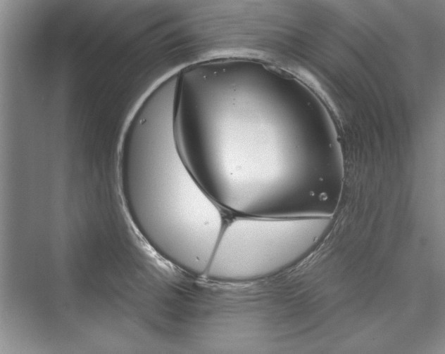 X0000073391140200608111226