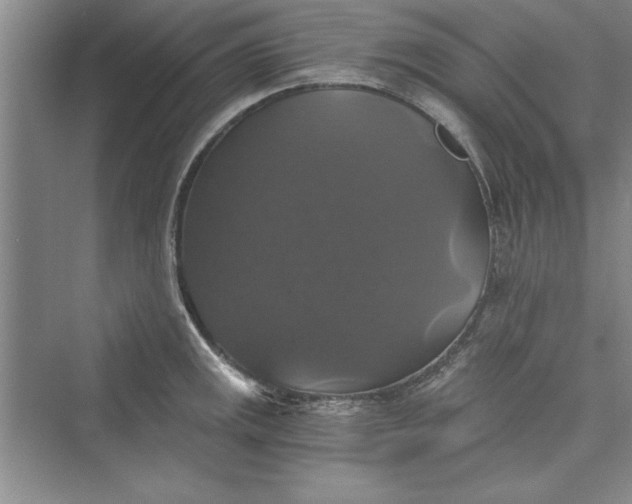 X0000073391141200608111226