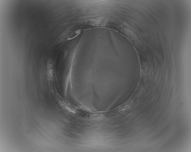 X0000073391154200608111225