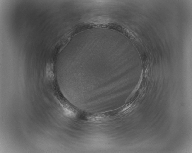 X0000073391156200608111225