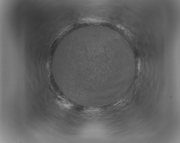 X0000073391157200608111225