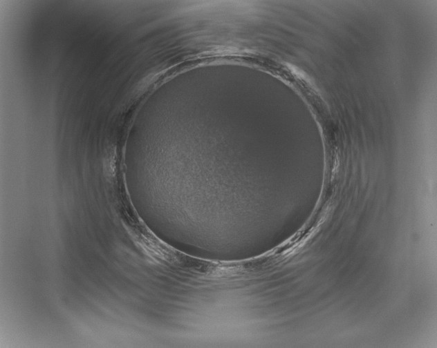 X0000073391161200608111225