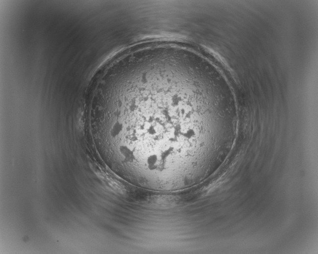 X0000073391163200608111225