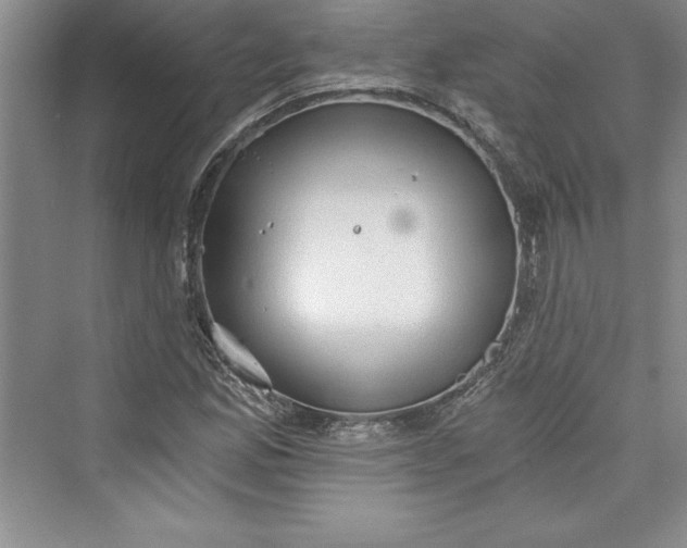 X0000073391165200608111225