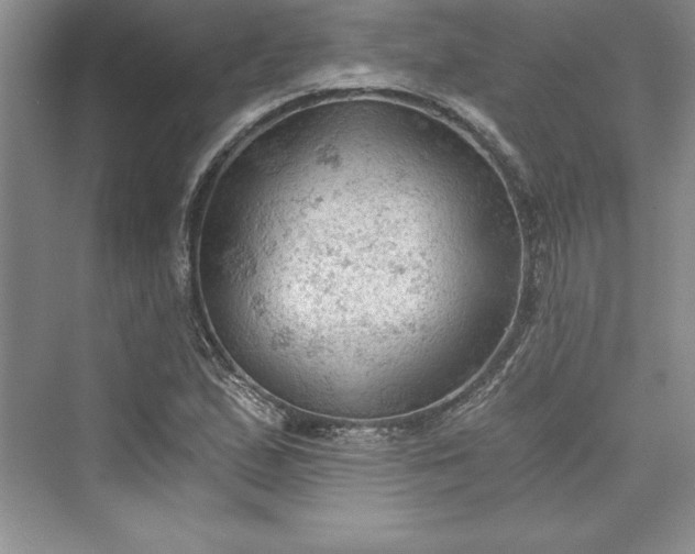 X0000073391167200608111225