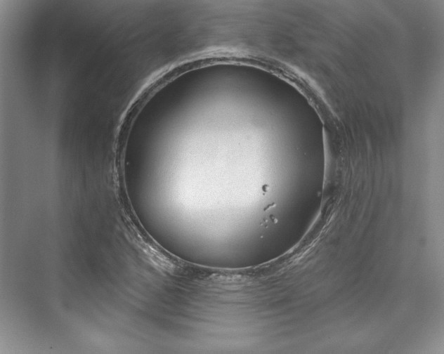 X0000073391168200608111225