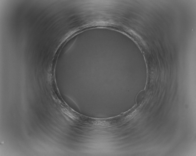 X0000073391170200608111225