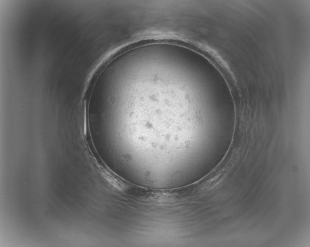 X0000073391175200608111225