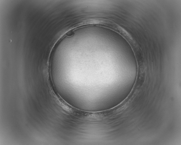 X0000073391178200608111225