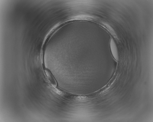 X0000073391180200608111225