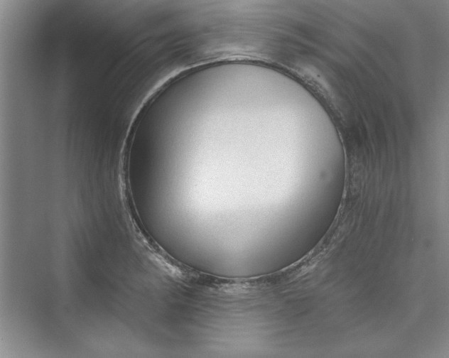 X0000073391182200608111225