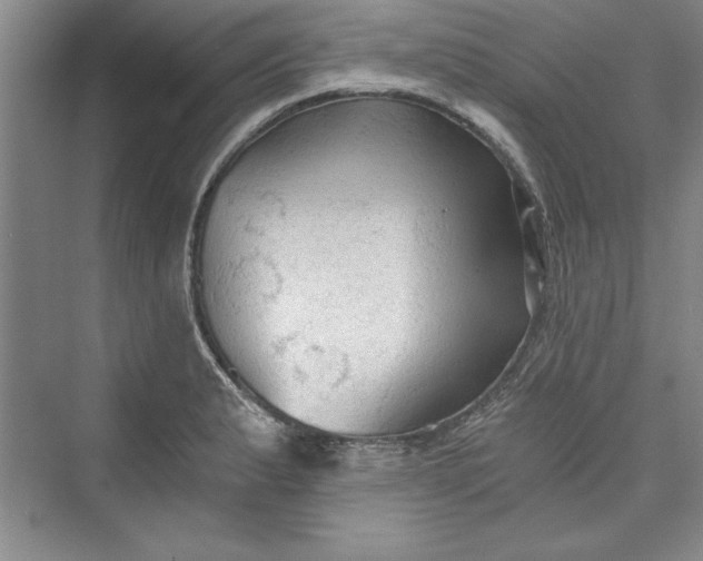 X0000073391183200608111225