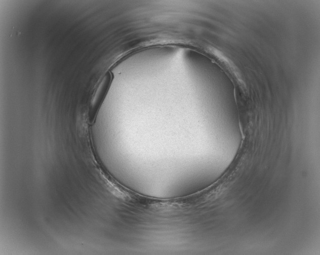 X0000073391185200608111225