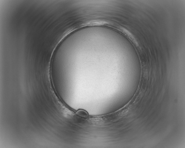 X0000073391186200608111225