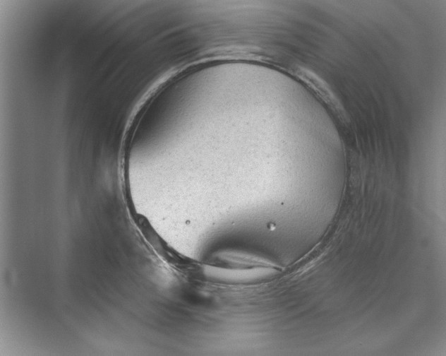 X0000073391188200608111225