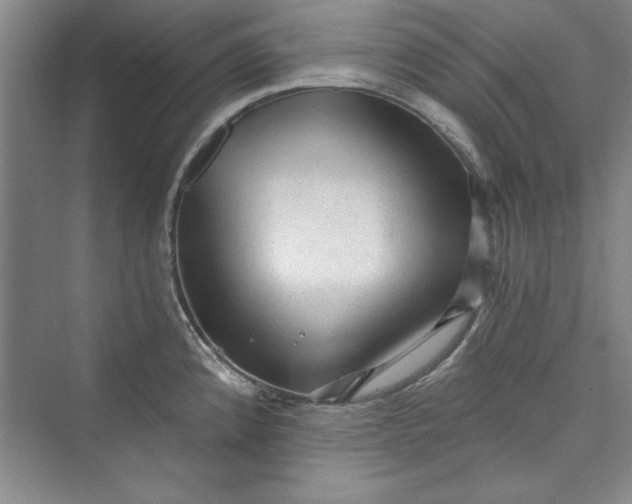 X0000073391192200608111225