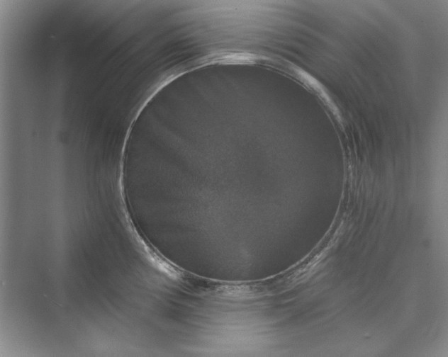 X0000073391194200608111225