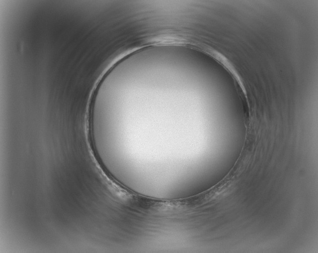 X0000073391195200608111225