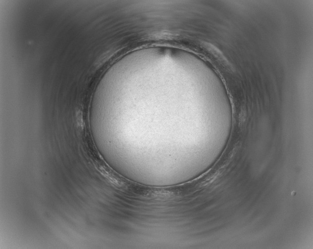 X0000073391209200608111224