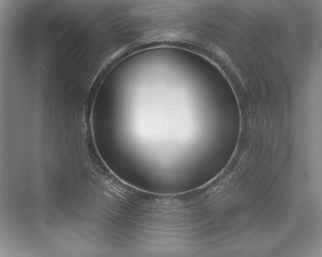 X0000073391218200608111224