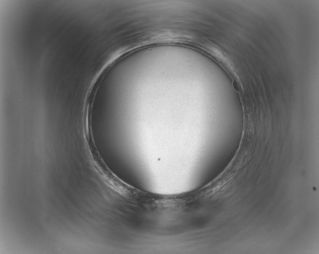 X0000073391227200608111224