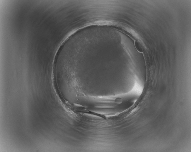 X0000073391229200608111224