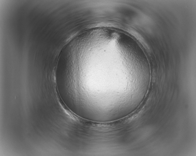 X0000073391241200608111224
