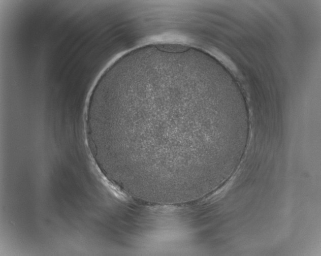 X0000073391248200608111225