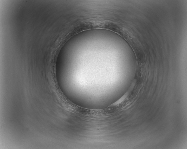 X0000073391249200608111224