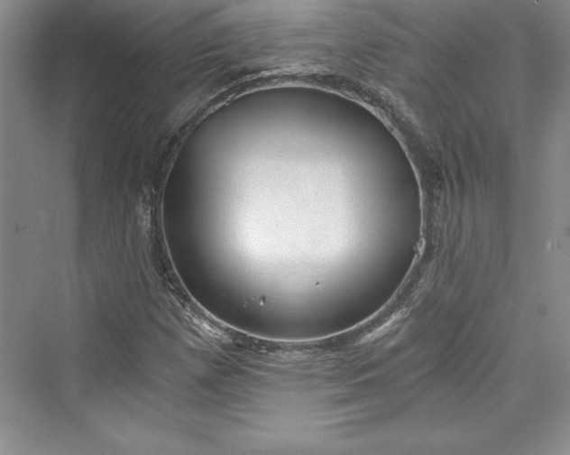 X0000073391257200608111224