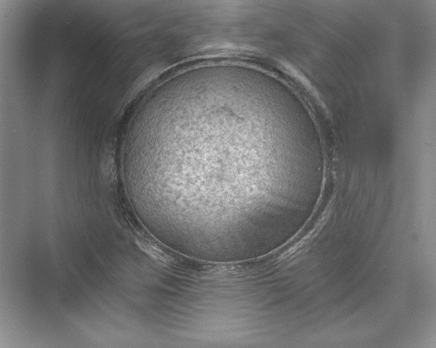 X0000073391259200608111224