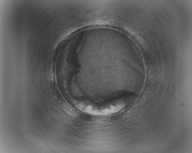 X0000073391262200608111223