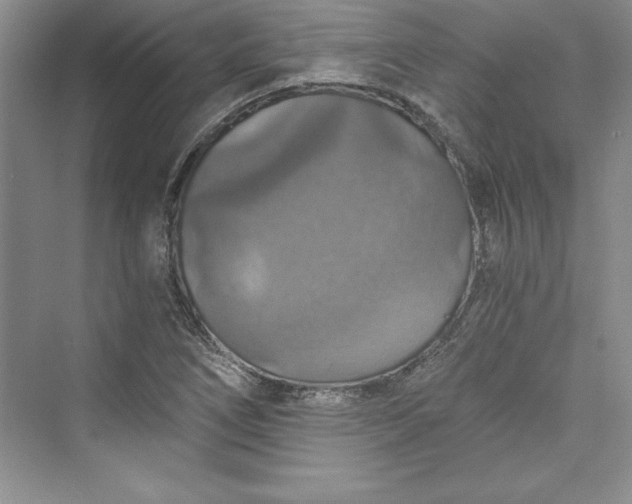 X0000073391266200608111223