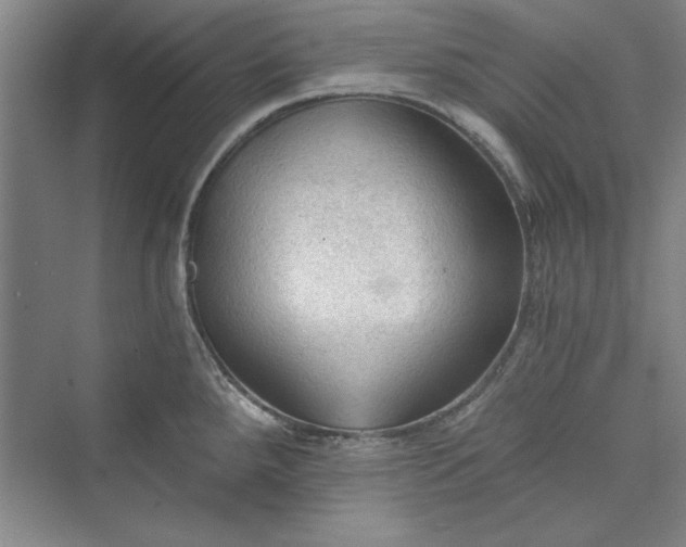 X0000073391288200608111223