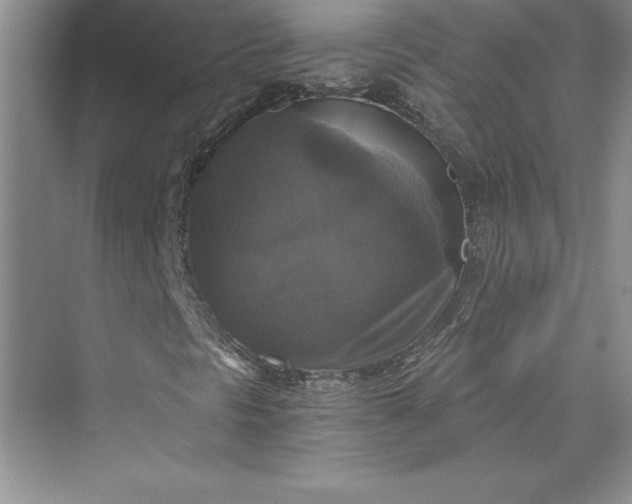 X0000073391297200608111222