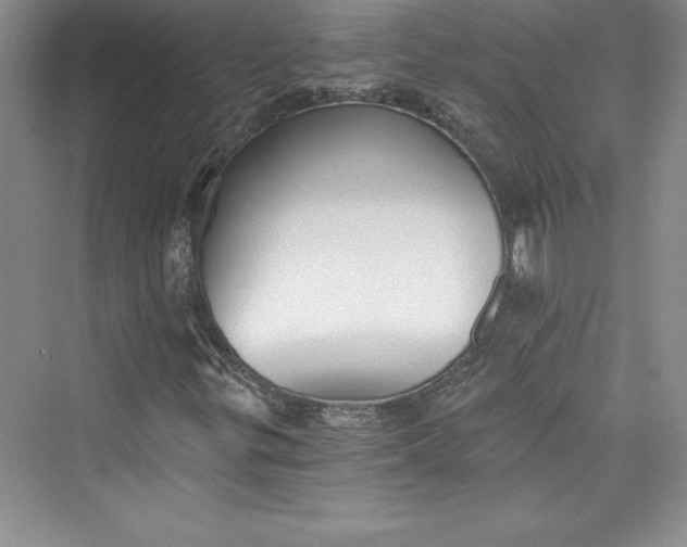 X0000073391299200608111222