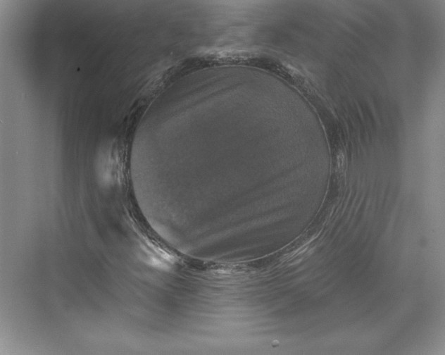 X0000073391300200608111222