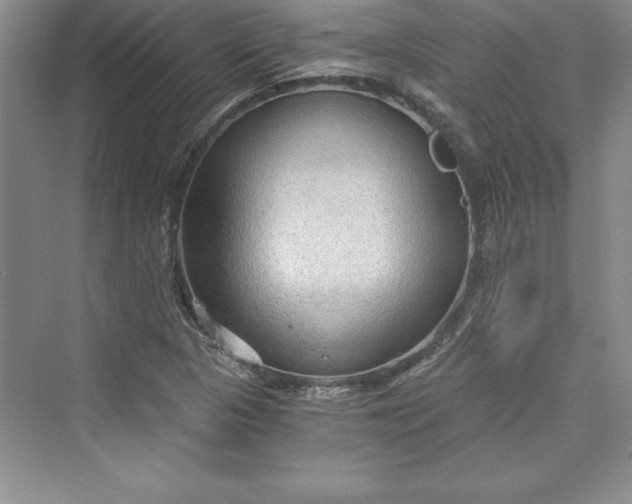 X0000073391313200608111222