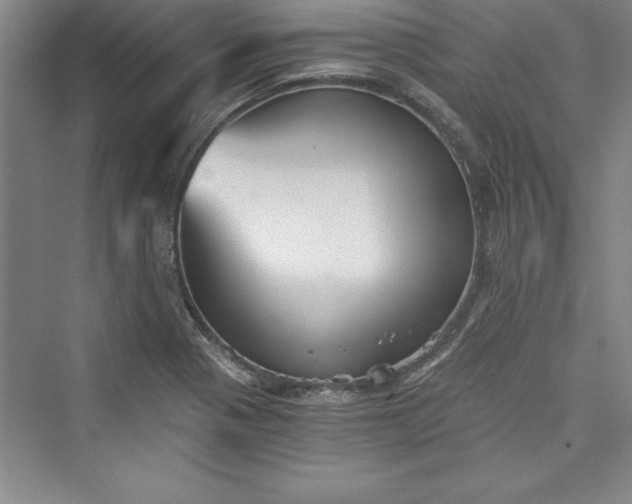 X0000073391321200608111222