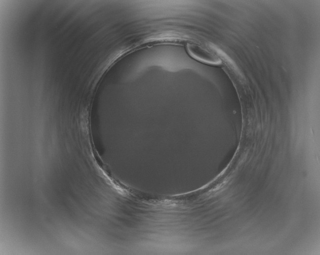X0000073391329200608111223