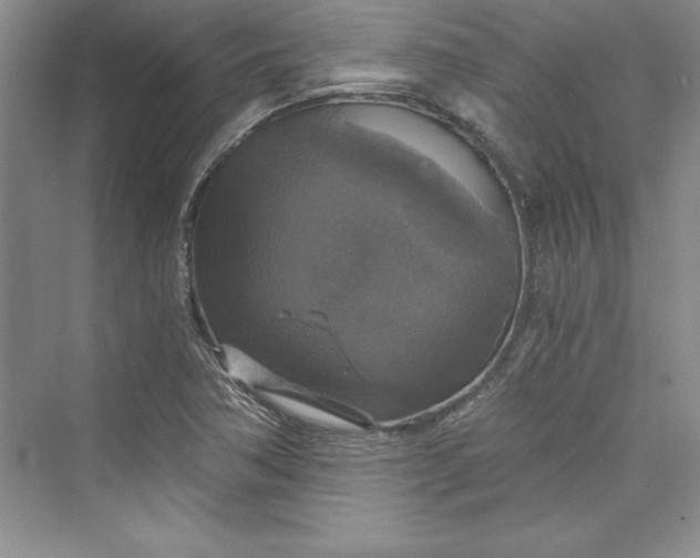 X0000073391362200608111222