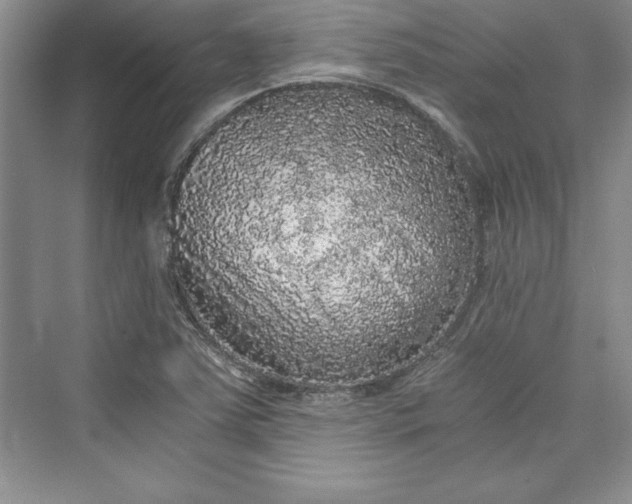 X0000073391363200608111222