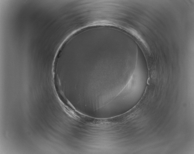 X0000073391372200608111222